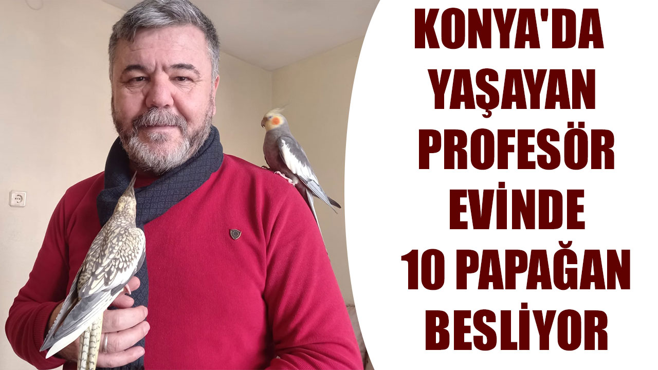 KONYA'DA YAŞAYAN PROFESÖR EVİNDE 10 PAPAĞAN BESLİYOR