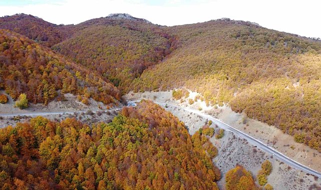 Adeta doğada bir tablo, Şebek Geçidi'nde sonbahar güzelli mest ediyor