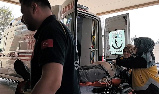 Ağaçtan düşen adam hayatını kaybetti