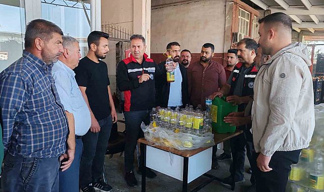 Akdeniz meyve sineği ile mücadele sürüyor