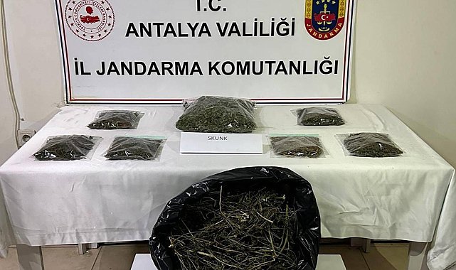 Alanya'da uyuşturucu operasyonu: 800 gram uyuşturucu ele geçirildi