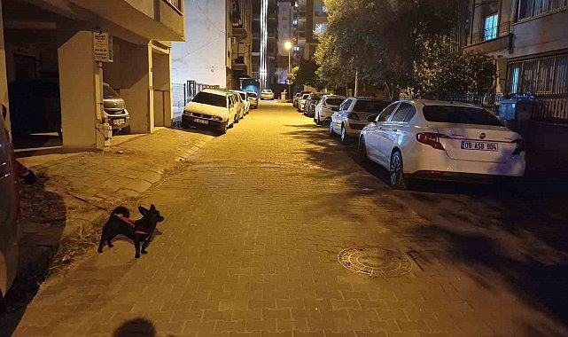 Balıkesir'deki deprem Aydın'da da hissedildi