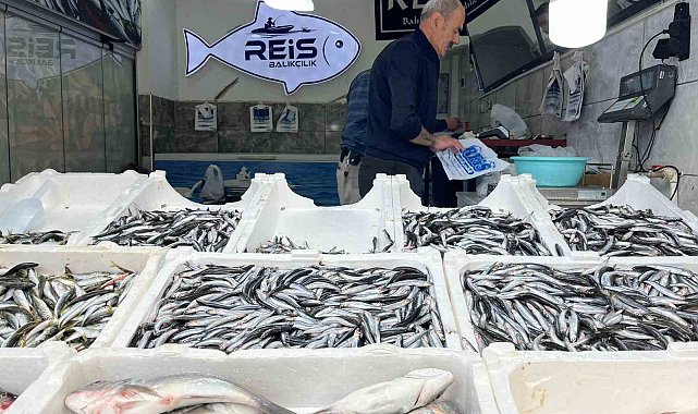 Bayburt'ta balıklar tezgâhlarda yerini aldı
