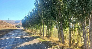 Bayburtlu vatandaştan DSİ'ye tepki: "Hiçbir gerekçe göstermeden fidanlarımızı katletmek istiyorlar"