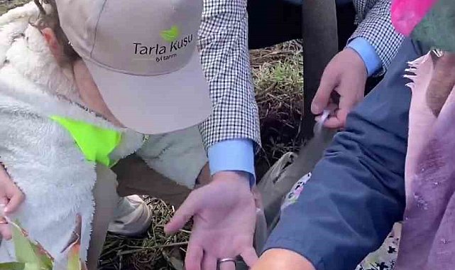 Biga'da öğrencilerle aronya toplama etkinliği