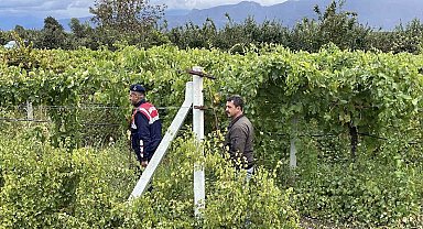 Bir yıllık emekleri çalınmasın diye gece gündüz nöbet tutuyorlar