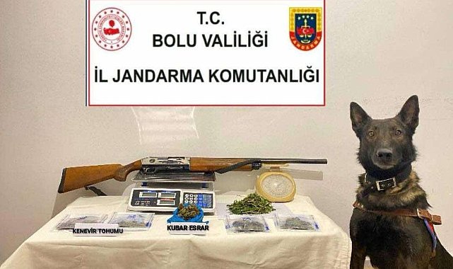 Bolu'da uyuşturucu operasyonu: 1 tutuklama