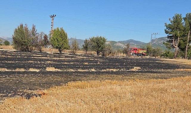 Bucak'ta arazide çıkan yangın itfaiye ekiplerince söndürüldü