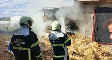 Bucak'ta ot balyaları yandı