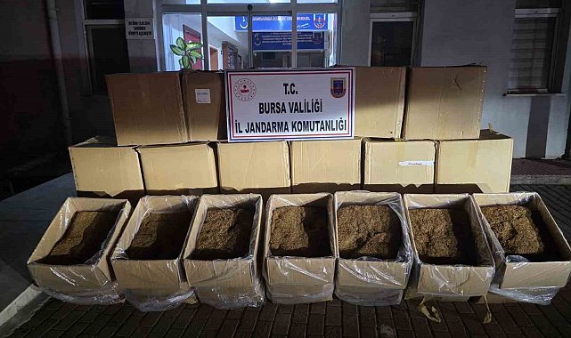 Bursa'da 750 kilogram kaçak tütün ele geçirildi