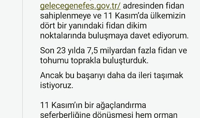 Cumhurbaşkanı Erdoğan'dan 11 Kasım Milli Ağaçlandırma Günü mesajı