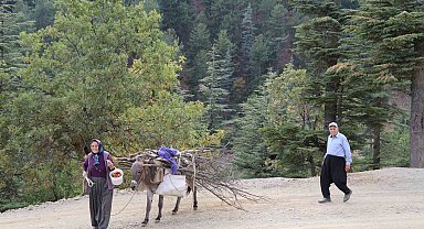 Dağ köylerinde eşekle odun çekme nostalji yaşattı