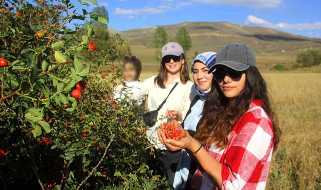 Daldan kavanoza kuşburnunun hikayesi