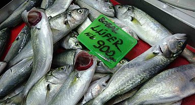 Denizlerin prensi 'lüfer' 900 liradan tezgahta