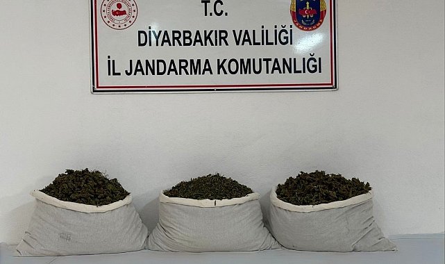 Diyarbakır'da 15 kilo skunk ele geçirildi