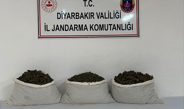 Diyarbakır'da uyuşturucu operasyonları