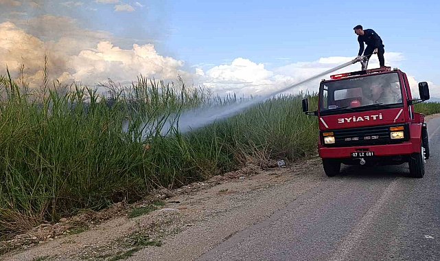 Dökülen çöpler kargıların yanmasına neden oldu