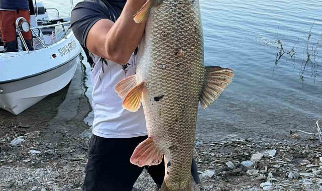 Elazığ'da balıkçı 70 kiloluk turna yakaladı