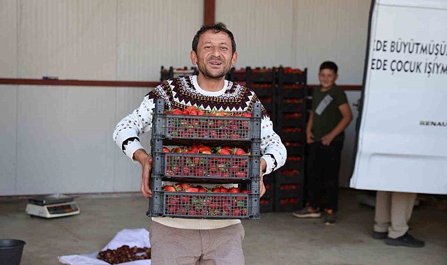 Eskiden barbunya üretim merkezi olan Ovacık yaylaları çileğe döndü