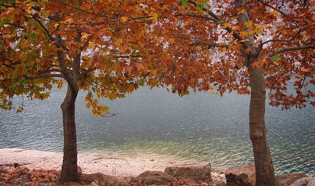 Fırat'ın sessiz akışına sonbahar renk kattı