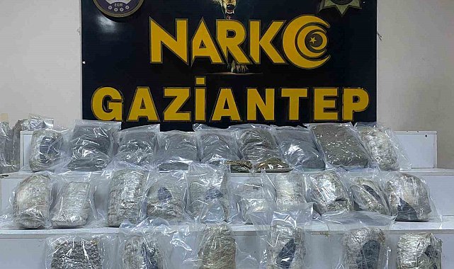 Gaziantep'te 13 kilo skunk ele geçirildi