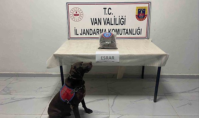 Hakkari'de kubar esrar ele geçirildi