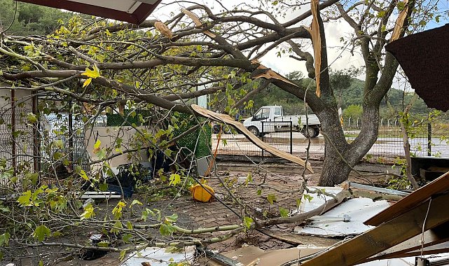 Hortum ve yıldırım Havran'da hasara yol açtı