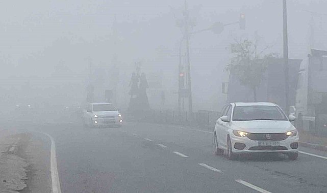 Iğdır'da yoğun sis etkili oldu