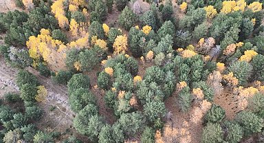 Kars'ta sonbaharda renk cümbüşü yaşanıyor