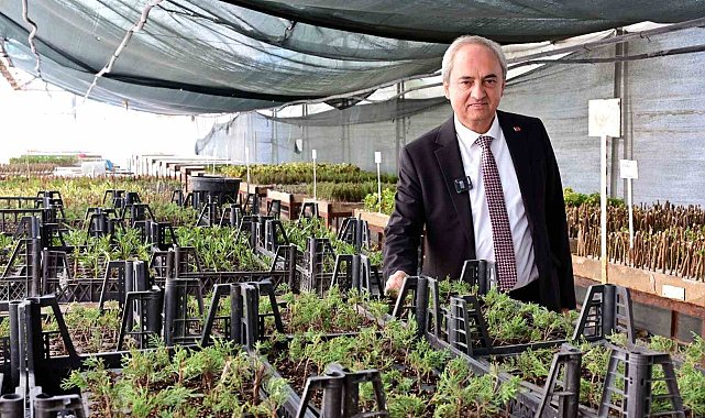 Kepez'den kurakçıl peyzaj hamlesi