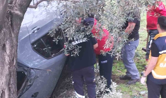 Kontrolü kaybetti zeytin bahçesine uçtu: 2 yaralı