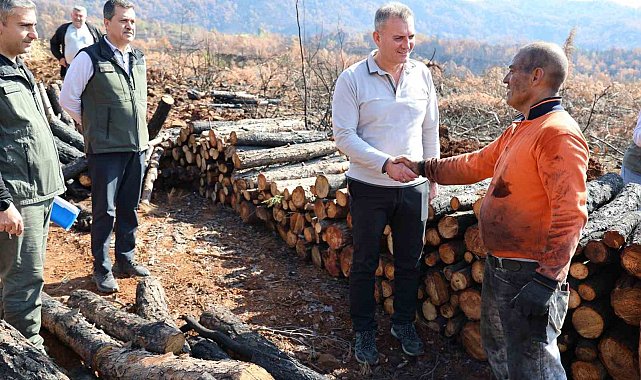 Köyceğiz'de yanan sahalar fidan dikimi için hazırlanıyor