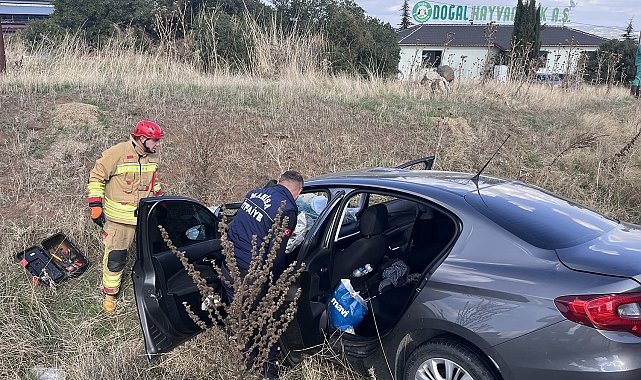 Kula'da otomobil tıra arkadan çarptı:1 yaralı