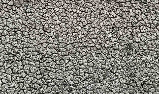 Kuraklığın izi: Seyhan Baraj Gölü'nde sular çekilince toprak çatladı