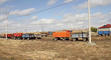 Malazgirt'te şeker pancar alımları devam ediyor