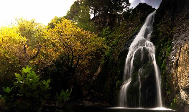 Manisa'da sonbahar manzaraları Karadeniz yaylalarını aratmadı