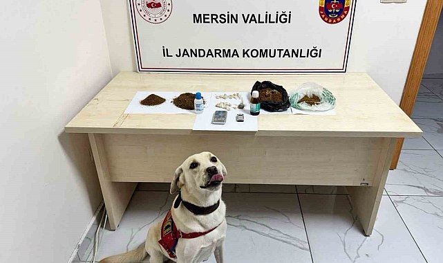 Mersin'de uyuşturucu operasyonu: 5 şüpheli tutuklandı