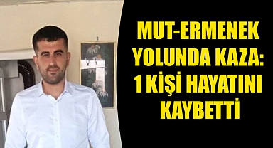 Mut-Ermenek Yolunda Kaza: 1 Kişi Hayatını Kaybetti