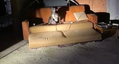 Panik yaşayan mahalle sakinleri konuştu