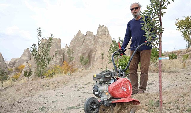 Peribacalarını ağaçlarla güzelleştiriyorlar