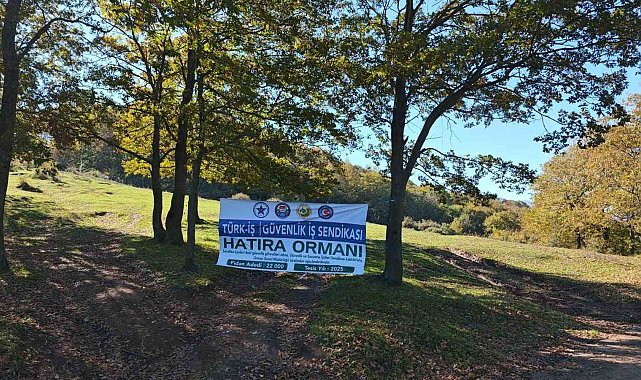 Sakarya'da yeşil geleceğe katkı: 22 bin fidan toprakla buluştu