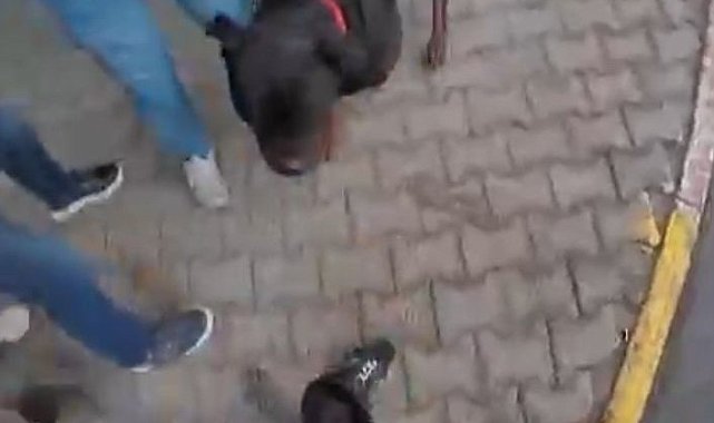 Saldırgan köpek gözetim altına alındı: Sahibine idari para cezası kesildi