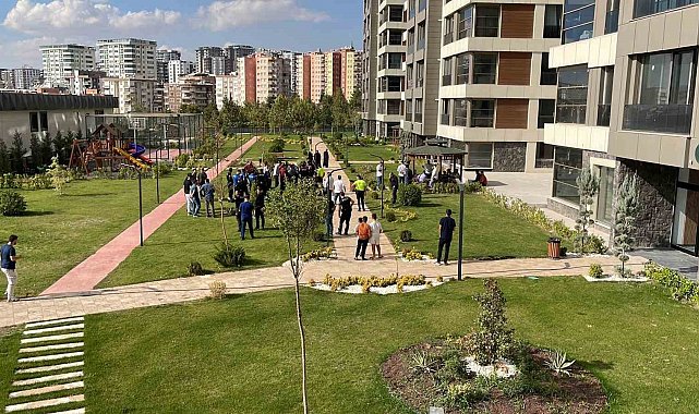 Şanlıurfa'da alacak kavgası: 4 yaralı