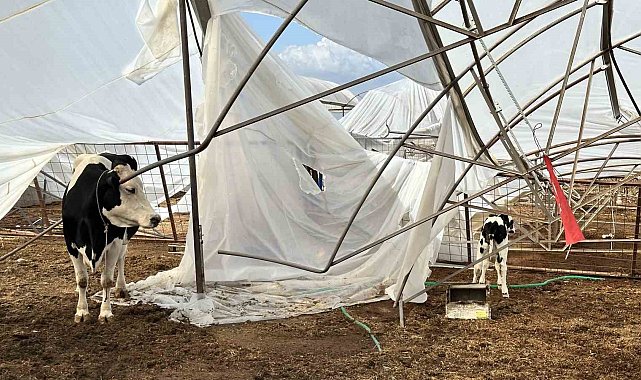 Serik'te hasar tespit çalışmaları sürüyor