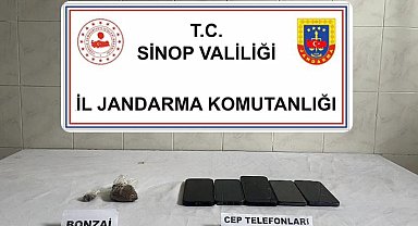 Sinop'ta bonzai ele geçirildi: 1 kişi tutuklandı