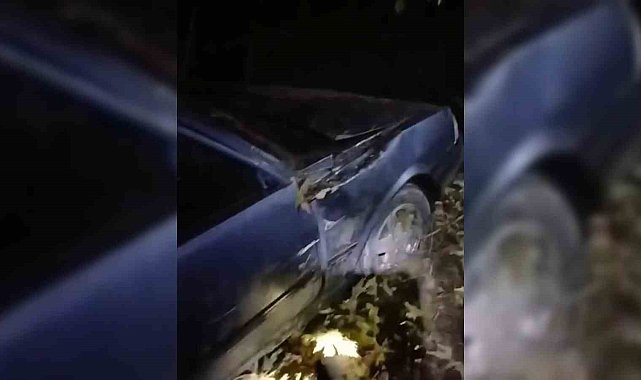 Sinop'ta otomobil şarampole yuvarlandı: 3 yaralı