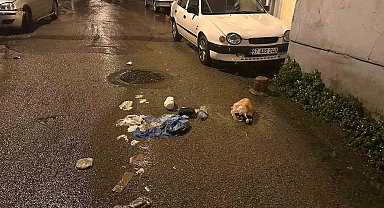 Sinop'ta sokağa bırakılan çöpler tepki çekti