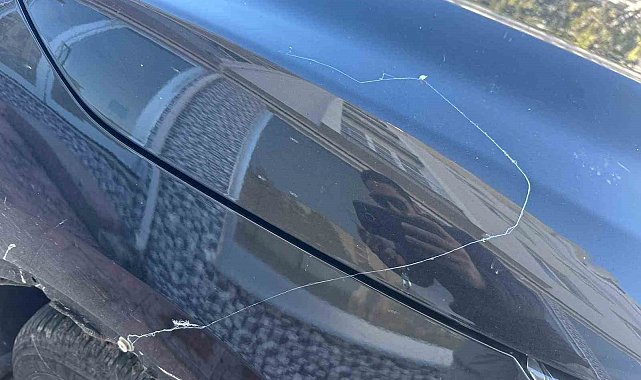 Tekirdağ'da gökyüzünden örümcek ağı yağdı