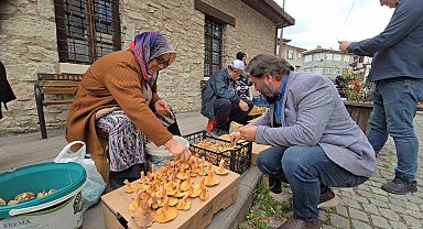 Tezgahlarda kanlıca bolluğu yaşanıyor: Kilosu 500 TL