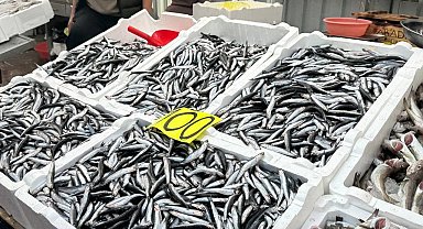 Tezgahta 100 liraya düşen hamsi yoğun ilgi gördü